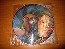 rare Marillion Picture Disc 12