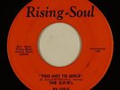Funk Breaks 45 - U-F-O's - Too Hot To Hold - Rising-Soul - VG++ mp3