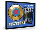 Buzzcocks Ever Fallen In Love Framed Gold Disc Display Vinyl (C1)