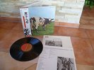 Pink Floyd