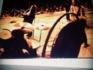 LED ZEPPELIN LIVE MILANO TEAR GAS 300 COPY