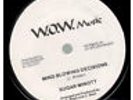 SUGAR MINOTT Mind Blowing Decisions/Brotherhood 7