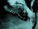 North Star Deserter [VINYL] Vic Chesnutt Vinyl