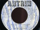 Abbyssinians - Tenayistillin Wandimae JA Antrim 7