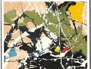 Stone Roses She Bangs The Drums 7
