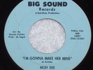 Northern Soul Ricky Dee I'M GONNA MAKE HER MINE 1966 BIG SOUND Label 45 RPM