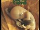 BATTIATO,FRANCO-FETUS  VINYL LP NUOVO (Importazione USA)