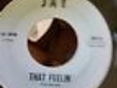 THE BLUE JAYS-Rare 1965 Northern Soul-