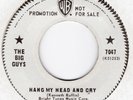 THE BIG GUYS-HANG MY HEAD AND CRY(CLASSIC)-WARNER BROS-***WHITE DEMO***