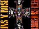 Guns N' Roses - Appetite For Destruction (Vinyl Used Like New)