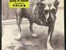 Alice In Chains - 
