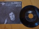Wolfgang Ambros / Austro Pop / Da Hofa
