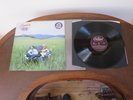 America - View From The Ground LP - Nr Mint 1st UK Press Vinyl - World Shipping