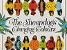 SHEEPDOGS-CHANGING COLOURS (CAN)  VINYL LP NUEVO (Importación USA)