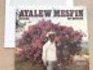 Ayalew Mesfin - Hasabe - My Worries - Vinyl LP 2018 - Vinyl Me Please - Sealed