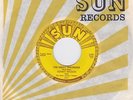 Sonny Wilson 