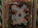 Sebadoh Bubble & Scrape Vinyl Rare US Sub Pop Orig. VG+ Lou Barlow Dinosaur Jr