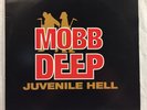 MOBB DEEP - JUVENILE HELL Vinyl LP Record, White label, 4th B'Way 1993 - RARE