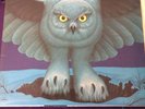Rush - Fly By Night - 12