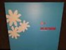 DR. OCTAGON (KOOL KEITH) *BLUE FLOWERS* 12