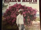 Ayalew Mesfin - Hasabe - My Worries 2018 VMP Vol 62 on 180g Maroon Vinyl sealed
