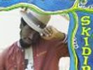 Eek-a-mouse - Skidip  Vinyl LP Greensleeves NEU