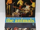 The Animals - Animalism & Animalization 1966 MGM NM-/NM-