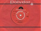AMBOY DUKES - 