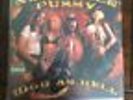 Nashville Pussy high as hell LP garage punk rock nine pound hammer Record Vinyl