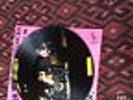sex pistols never mind the bollocks  picture disc