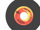 THE SURVIVORS--(BRIAN WILSON RELATED)-7'45--(PAMELA JEAN--NEAR MINT
