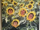 Sunnyboys - Individuals - OZ 1982 Mushroom LP - Aussie Garage Power Pop