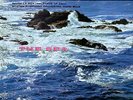 RCA | Charles Munch, BSO - Debussy: La Mer / Ibert: Port Of Call 200g LP