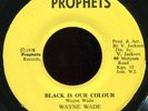 Wayne Wade - Black Is Our Colour JA Prophets 7
