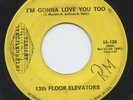 Hear- Rare Garage 45 - 13 th Floor Elevators - I'm Gonna Love You Too - IA # 126