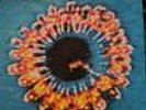 JEAN PAUL SARTRE EXPERIENCE - THE SIZE OF FOOD LP 1989