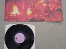 TRAFFIC - MR FANTASY ISLAND PINK EYE ILPS9061