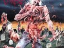 New Eaten Back To Life - Cannibal Corpse - Heavy Metal Music Vinyl