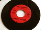 JOHNNY FALLIN 