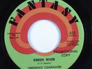 Rock 45 CREEDENCE CLEARWATER REVIVAL Green River FANTASY VG++ promo HEAR