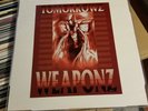 Tomorrowz Weaponz - Molested Doves - Rare Indie Rap Hip-Hop 12