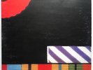 PINK FLOYD THE FINAL CUT LP 33 GIRI