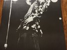 Led Zeppelin Robert Plant Swan Song Walkerprint 1975/76  Promo poster...original
