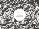 ANDY SHAUF - BEARER OF BAD NEWS NEW VINYL