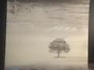 Genesis Wind & Wuthering LP ATCO SD 38-100 SEALED Prog
