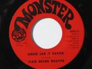 PLAIN BROWN WRAPPER Junior Saw It Happen/Real Person 45 Michigan funk Monster