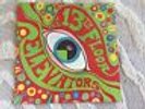 The 13th Floor Elevators LP The Psychedelic Sounds Of 1966 Mono Orig