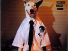 RICK SPRINGFIELD WORKING CLASS DOG 1981 LP RCA VICTOR AYL1-4766 NEAR MINT