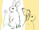 Beat Happening - Look Around (2LP)