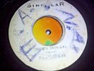 Brown Skin Gal/Version-Naaman Lee-Singular Records-7